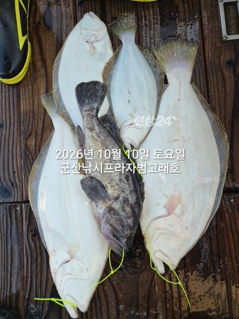 KakaoTalk_20261010_171909981.jpg