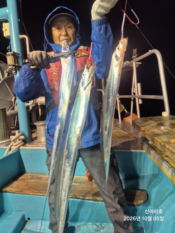 신아라호 한치 칼치 오징어_사진_20261005_11.jpg