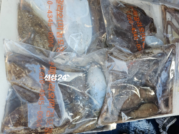 Resized_20261030_155425.jpeg