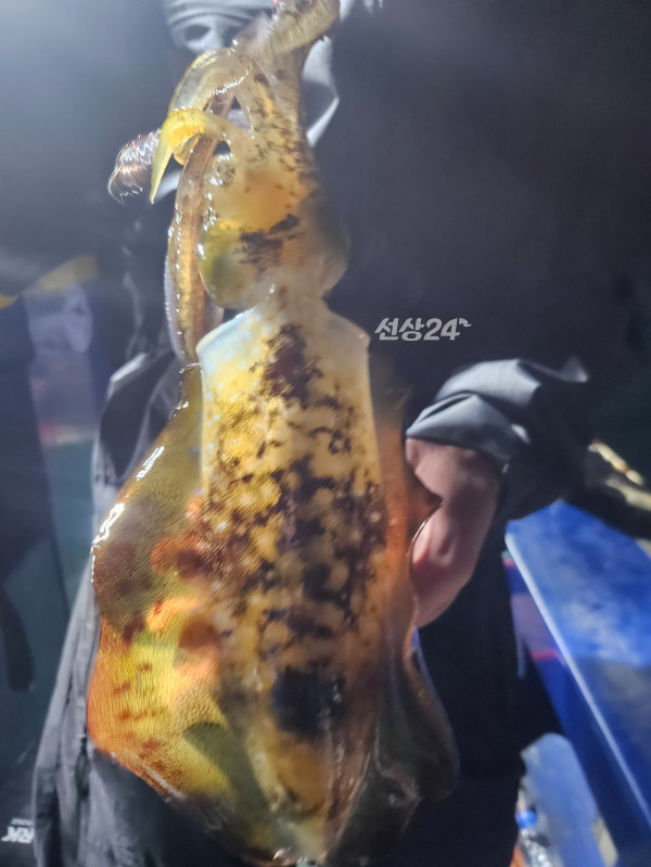 KakaoTalk_20261004_010706876_07.jpg