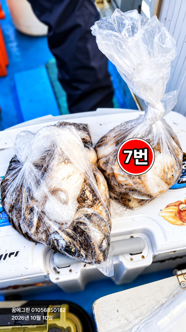 쳇7.png