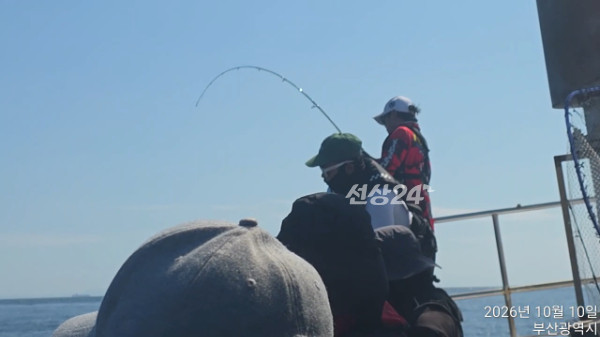 TimeVideo_20261010_115206.jpg