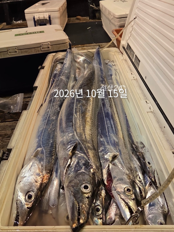 672B0EAE-FC1F-4D64-AB3B-B7BDC0765F2C.jpeg