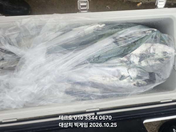 KakaoTalk_20261025_172206683_18.jpg