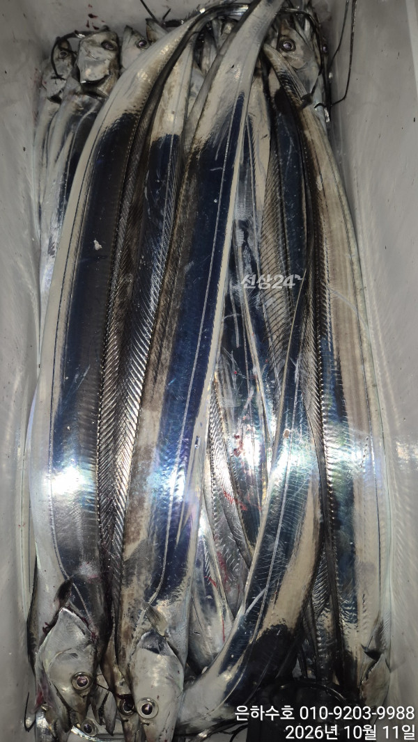 1000052744.jpg