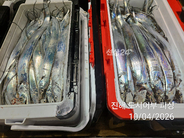 KakaoTalk_20261004_050453266_16.jpg