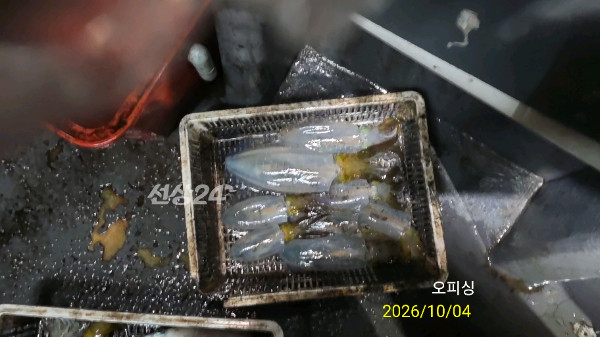 42425.jpg