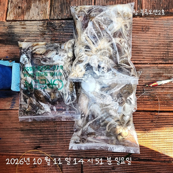 1000018664.jpg
