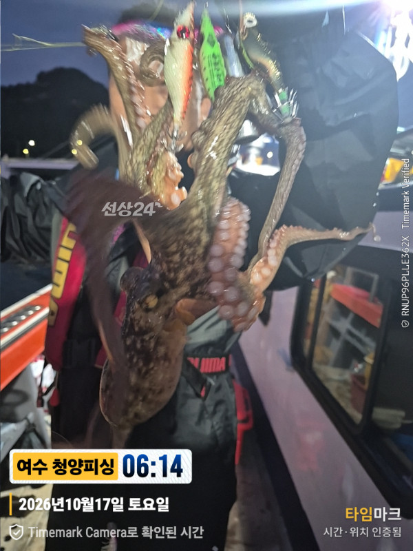 20261017_061420_제목-여수 청양피싱.jpg