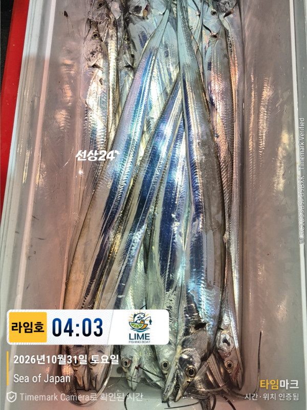 KakaoTalk_20261031_043559265_17.jpg
