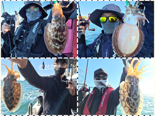 collage4.png
