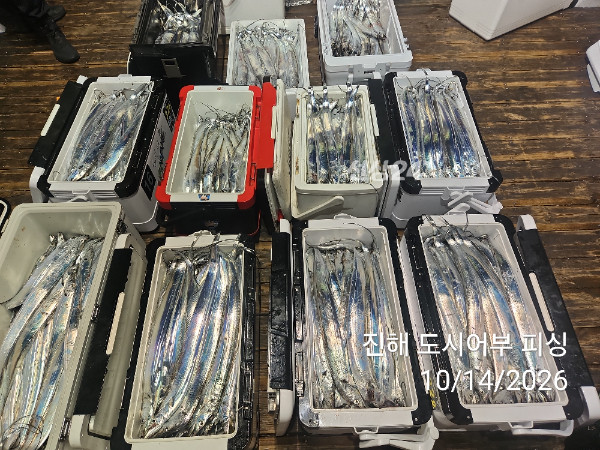 KakaoTalk_20261014_043827989_15.jpg