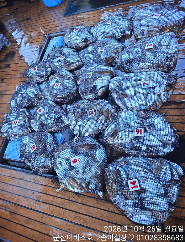 1000032358.jpg