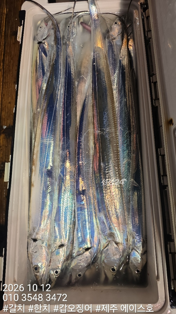 KakaoTalk_20261012_105258679_08.jpg