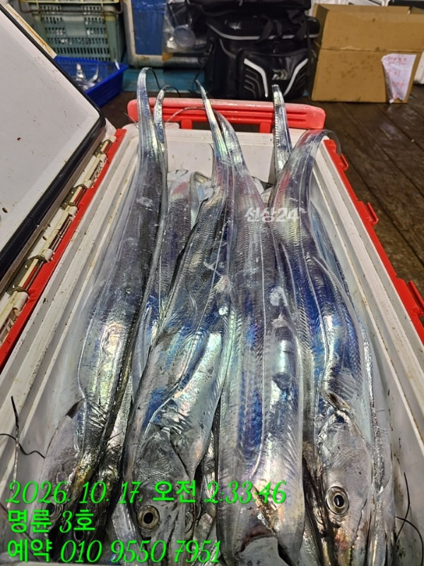 KakaoTalk_20261017_060227794_23.jpg