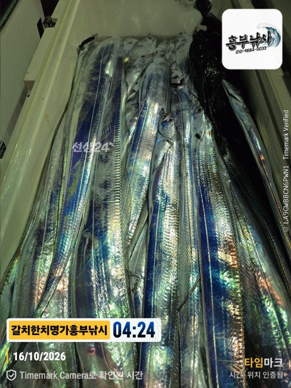 20261016_042435_Japan_제목-갈치한치명가흥부낚시.jpg