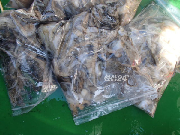 104.JPG