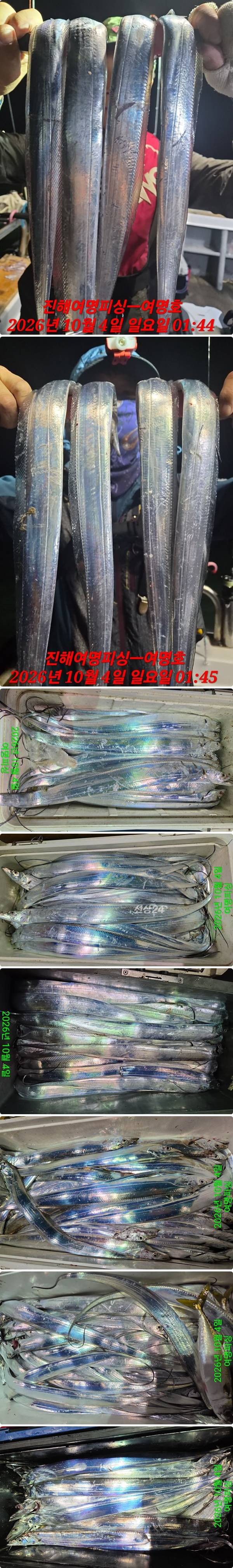 4일갈치하1.jpg