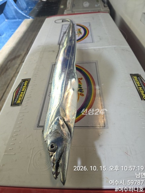 KakaoTalk_20261016_063051148_06.jpg