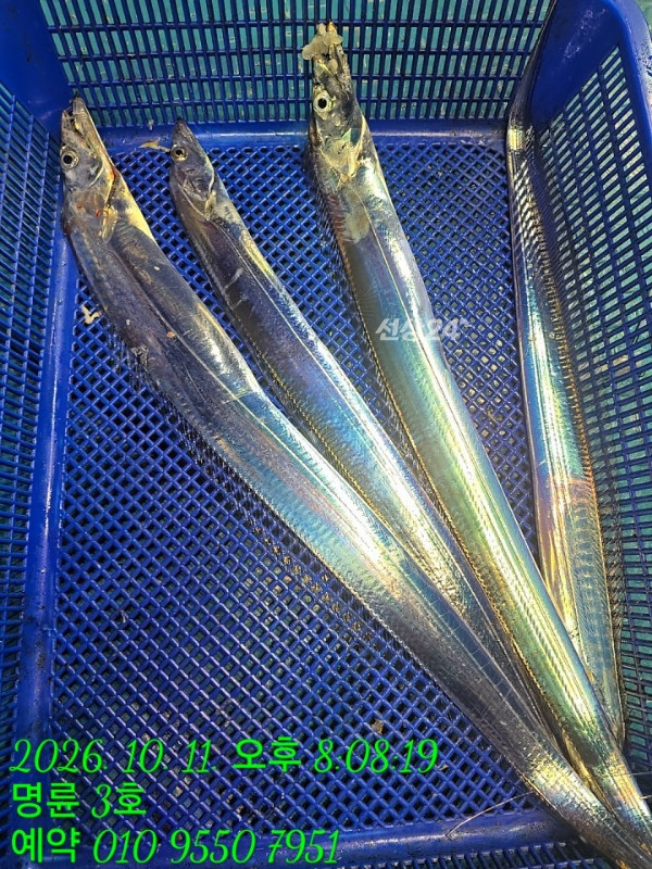 KakaoTalk_20261012_052546557_08.jpg
