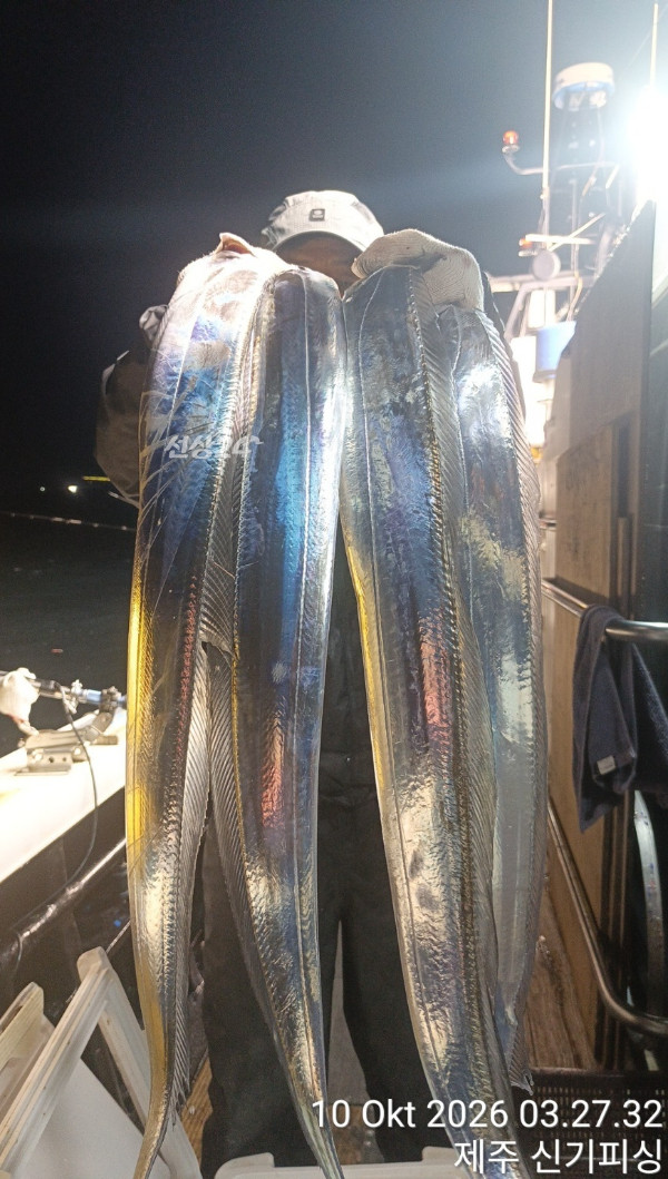 KakaoTalk_20261010_122012471_01.jpg