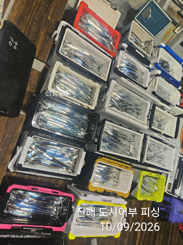 KakaoTalk_20261009_063157918_10.jpg