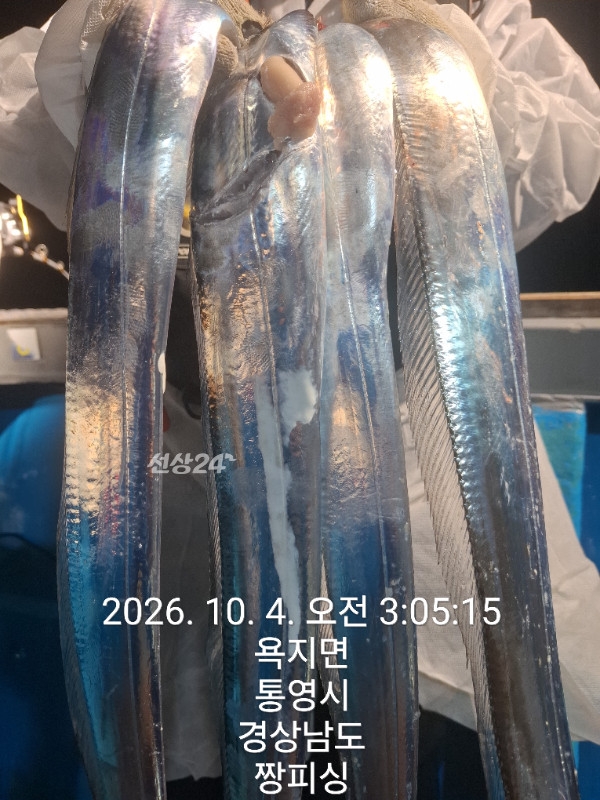1000083804.jpg