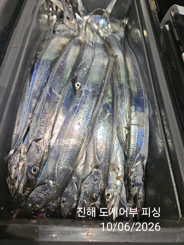 KakaoTalk_20261006_045311778_18.jpg