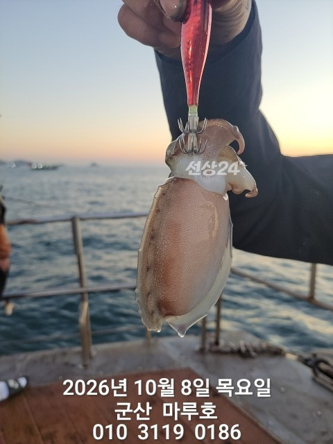 KakaoTalk_20261008_161016845_16 (1).jpg