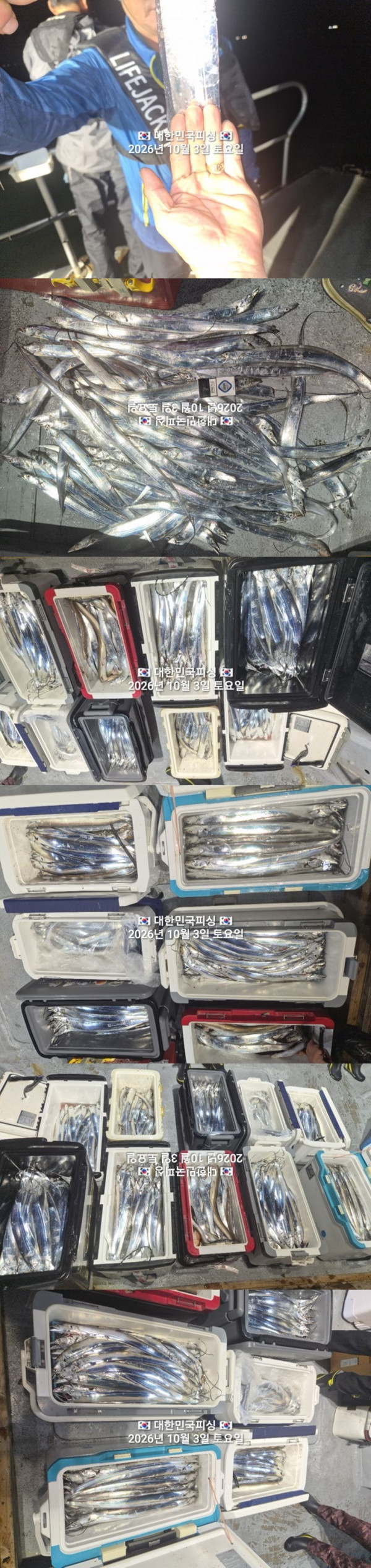 갈치2.jpg