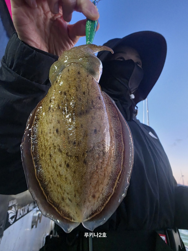 05.jpg