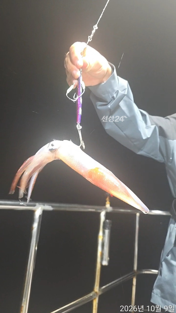 TimeVideo_20261009_225145.jpg