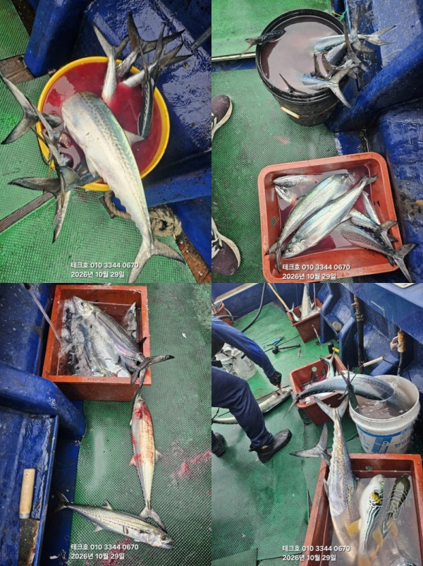 KakaoTalk_20261029_171941639_14-tile.jpg