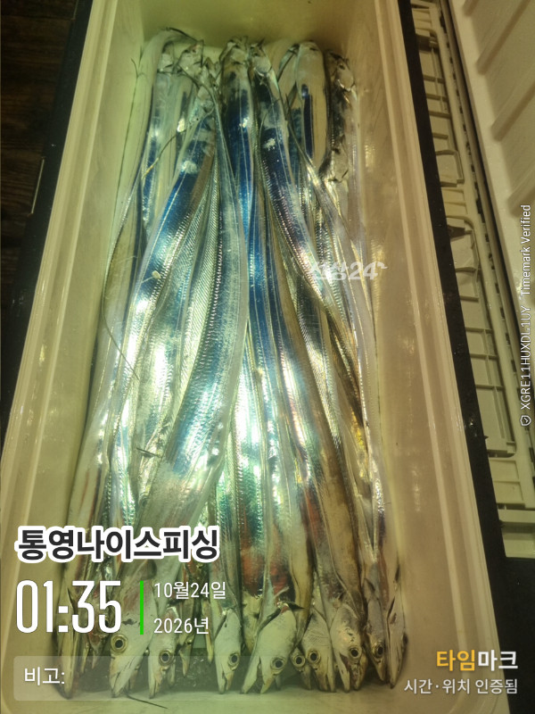 20261024_013539_글꼴-통영나이스피싱.jpg