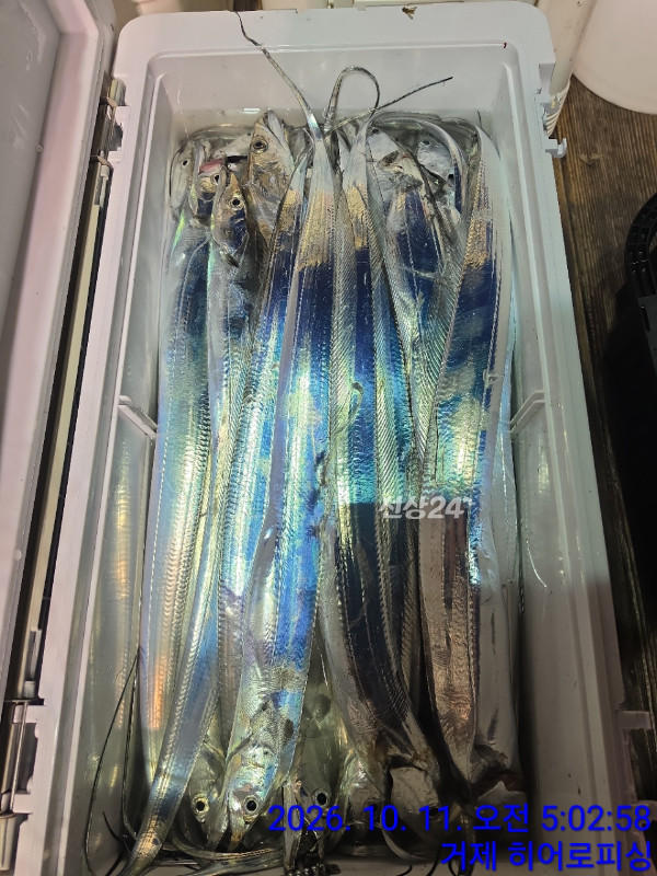 FF639E6A-224C-40B0-8B59-193D995D0AAD.jpeg