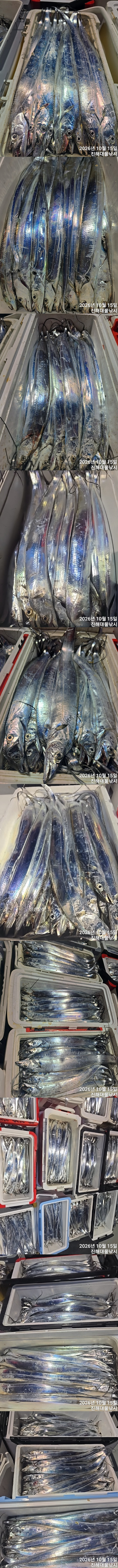 칼치4.jpg