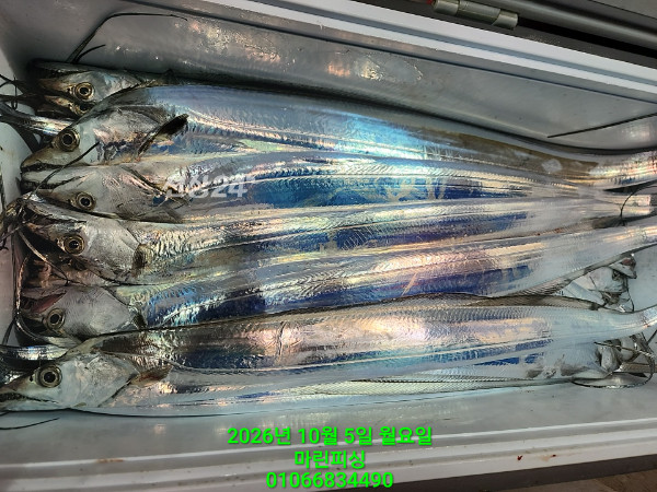 KakaoTalk_20261005_132543972_16.jpg