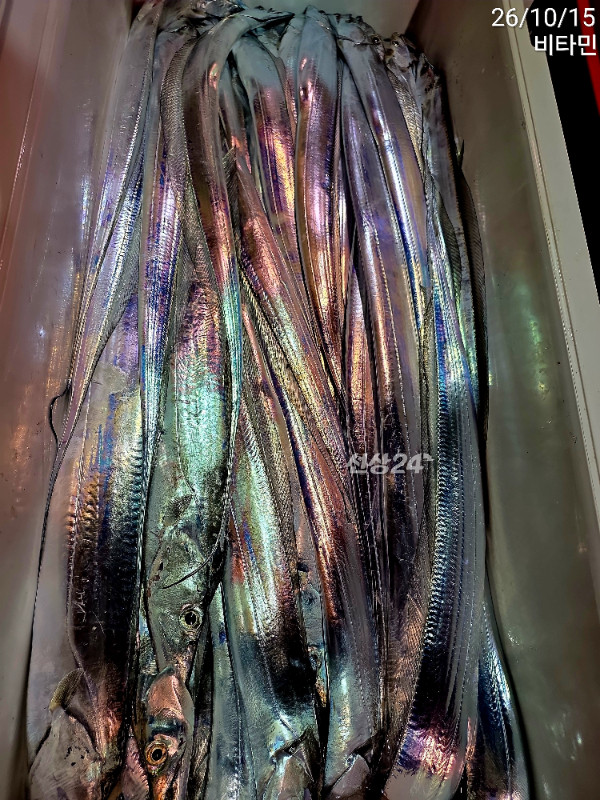 1000105140.jpg