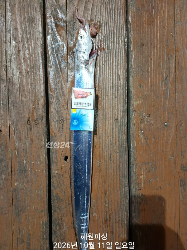 1000037329.jpg