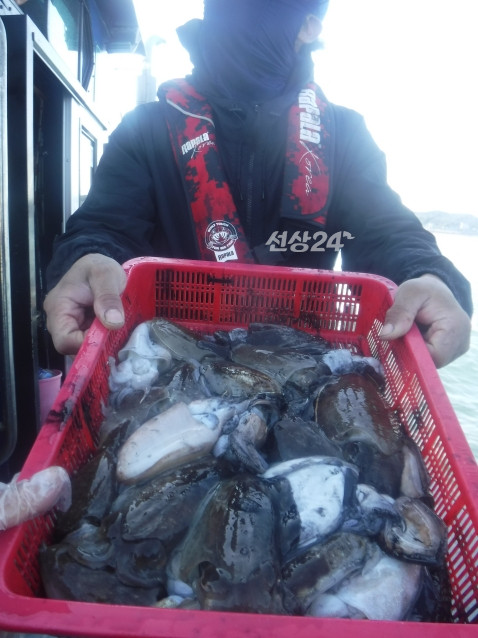 일괄편집_55.jpg