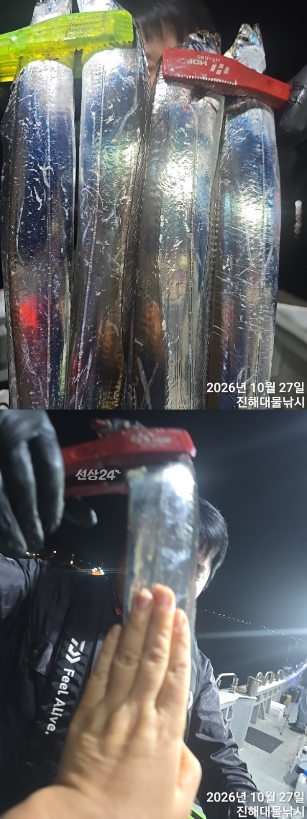 칼치1-1.jpg