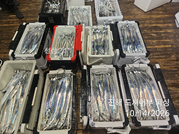 KakaoTalk_20261014_043827989_15.jpg