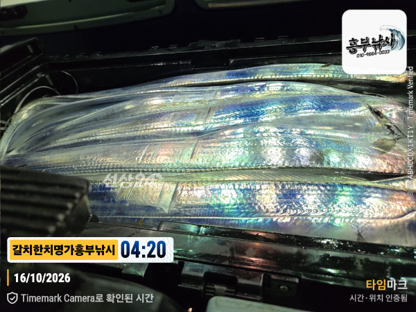 20261016_042012_Japan_제목-갈치한치명가흥부낚시.jpg
