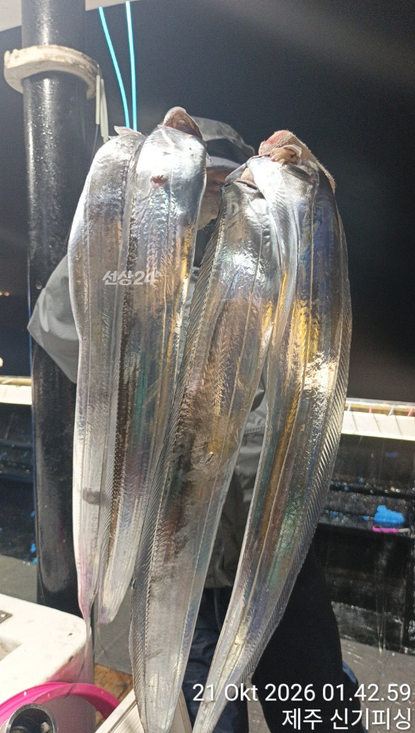 KakaoTalk_20261021_173934356_09.jpg