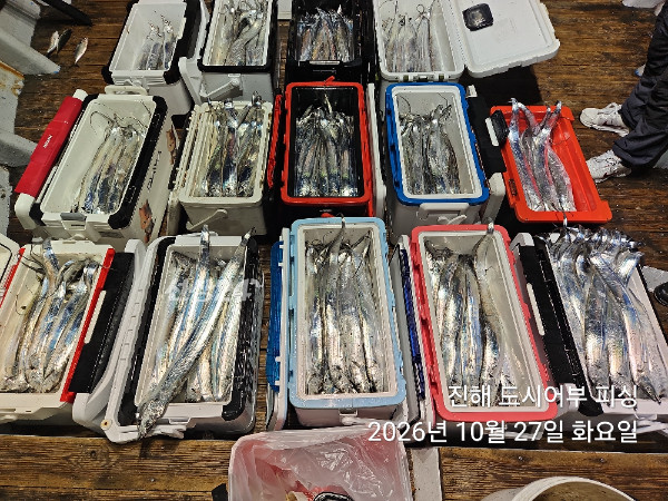 KakaoTalk_20261027_050149198_15.jpg