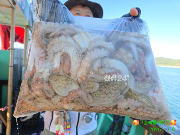 쎄븐피싱클럽(선상 버스출조전문)_사진_20261009_4.jpg