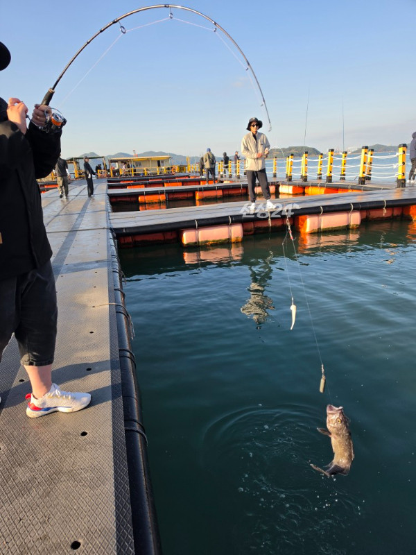 1000069177.jpg