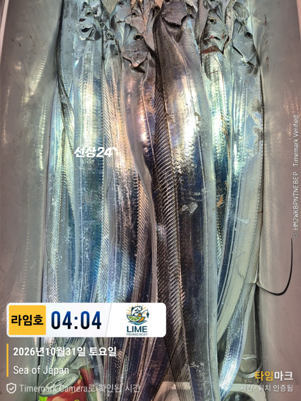 KakaoTalk_20261031_043559265_18.jpg