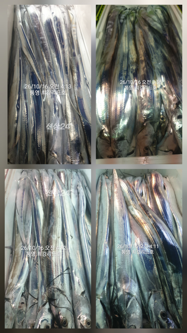 KakaoTalk_20261016_114521200_16.png