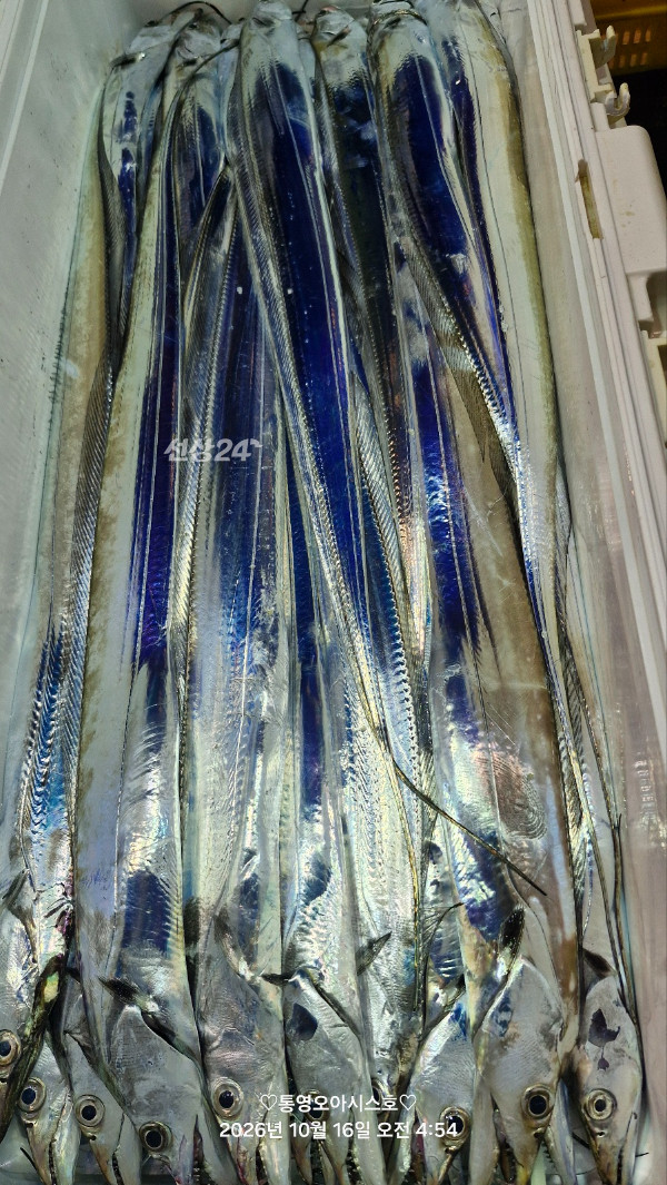84455.jpg